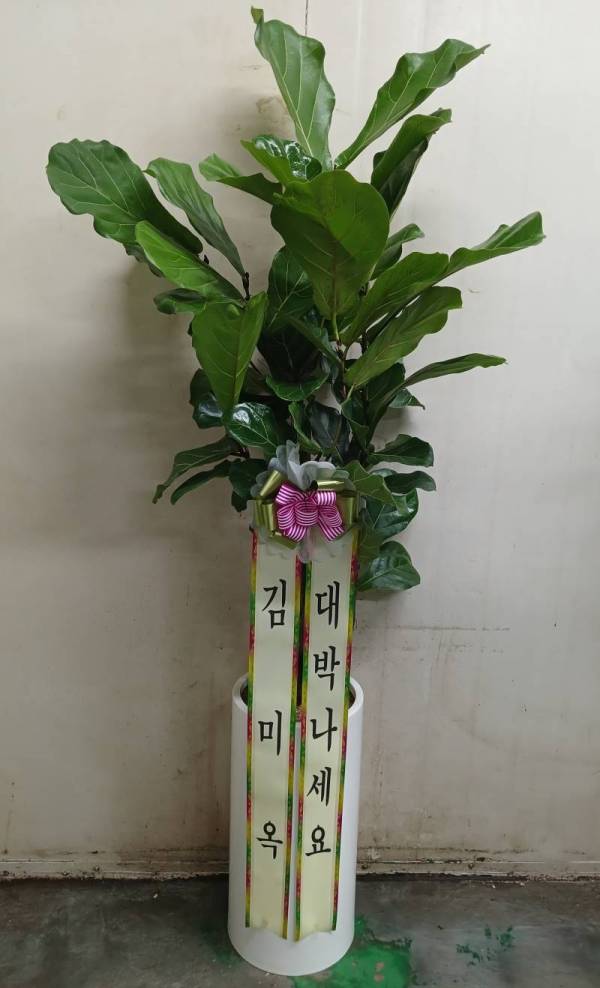 배송사진