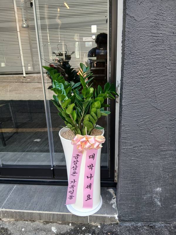 배송사진
