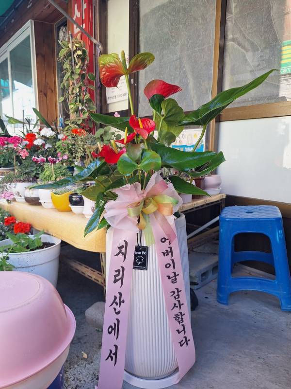 배송사진