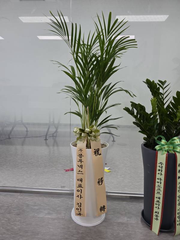 배송사진