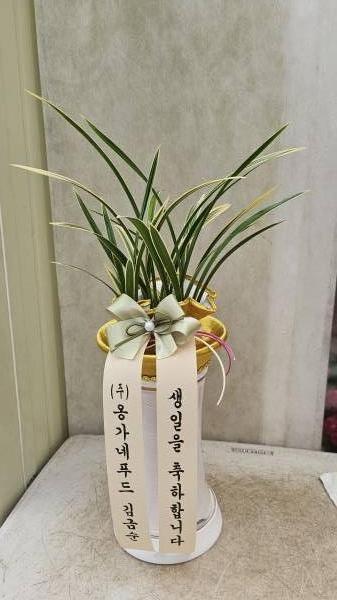 배송사진