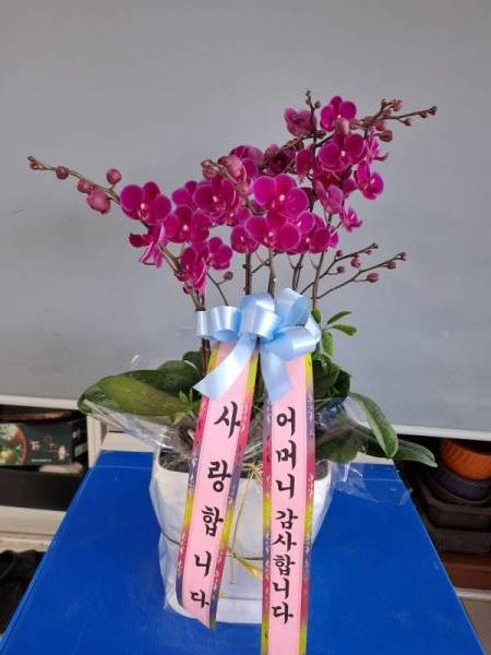 배송사진