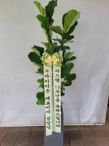 배송사진