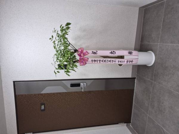 배송사진