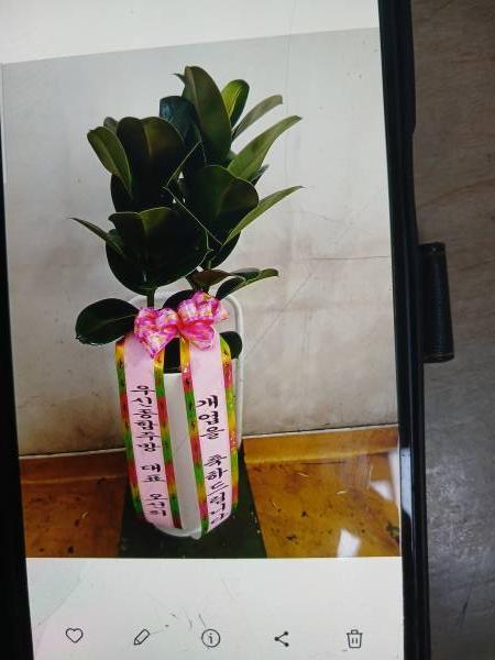 배송사진