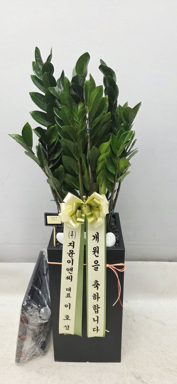 배송사진