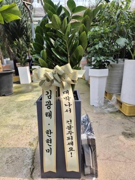 배송사진
