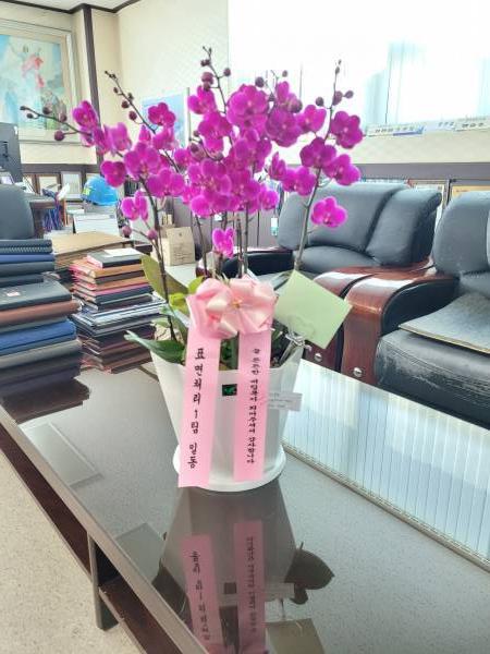 배송사진