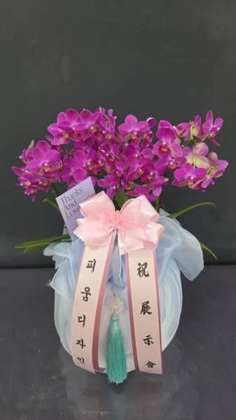 배송사진