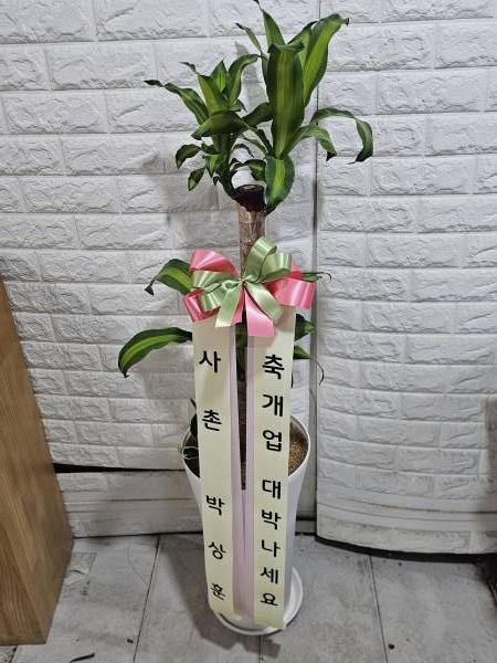 배송사진
