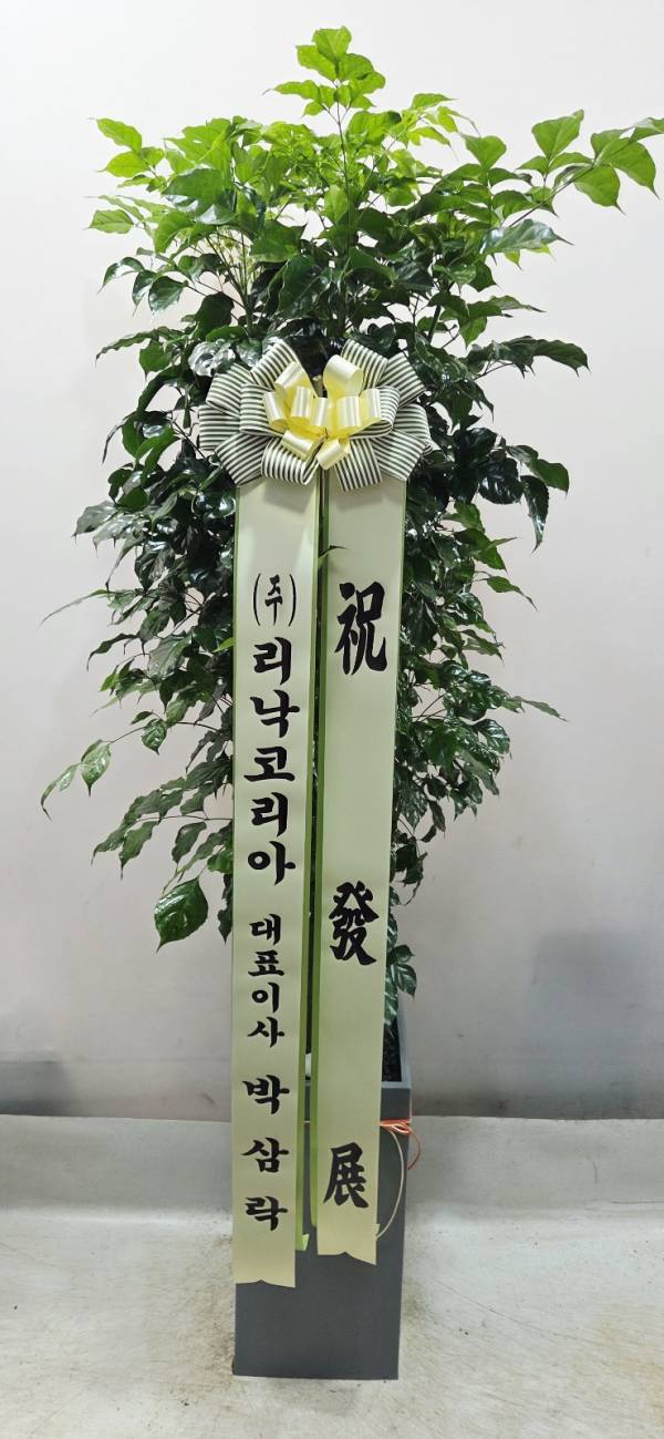 배송사진