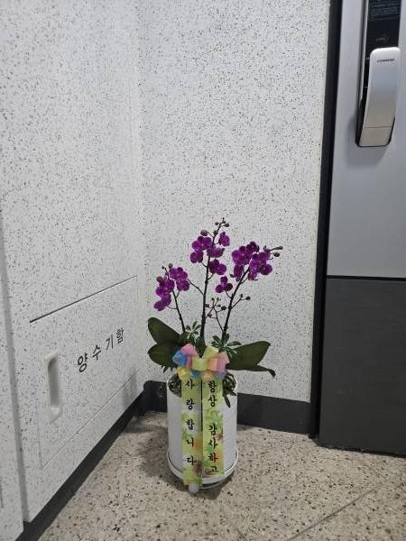 배송사진