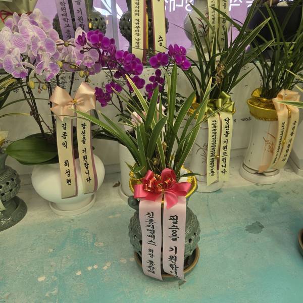 배송사진