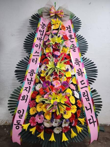 배송사진