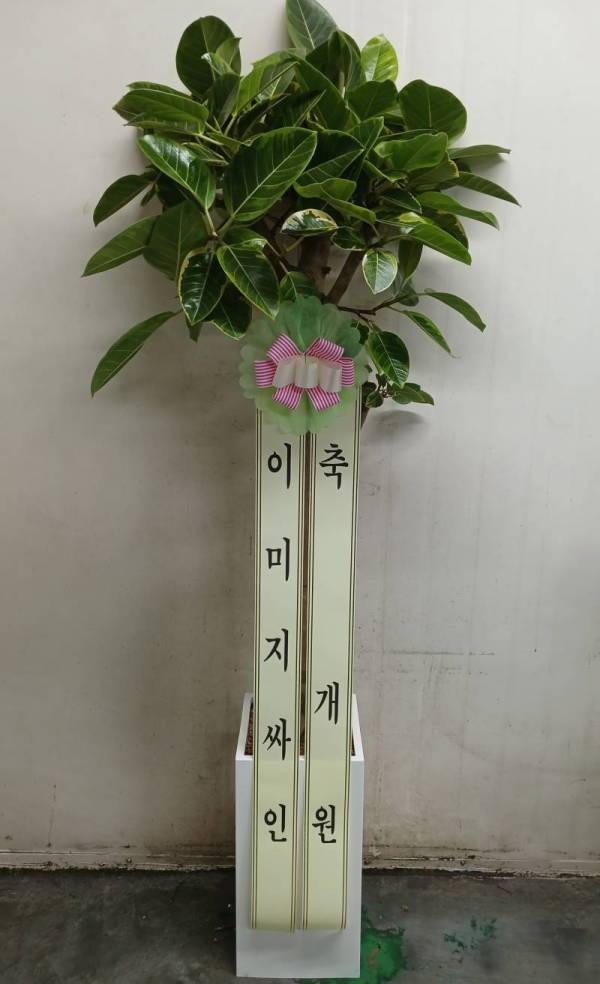 배송사진