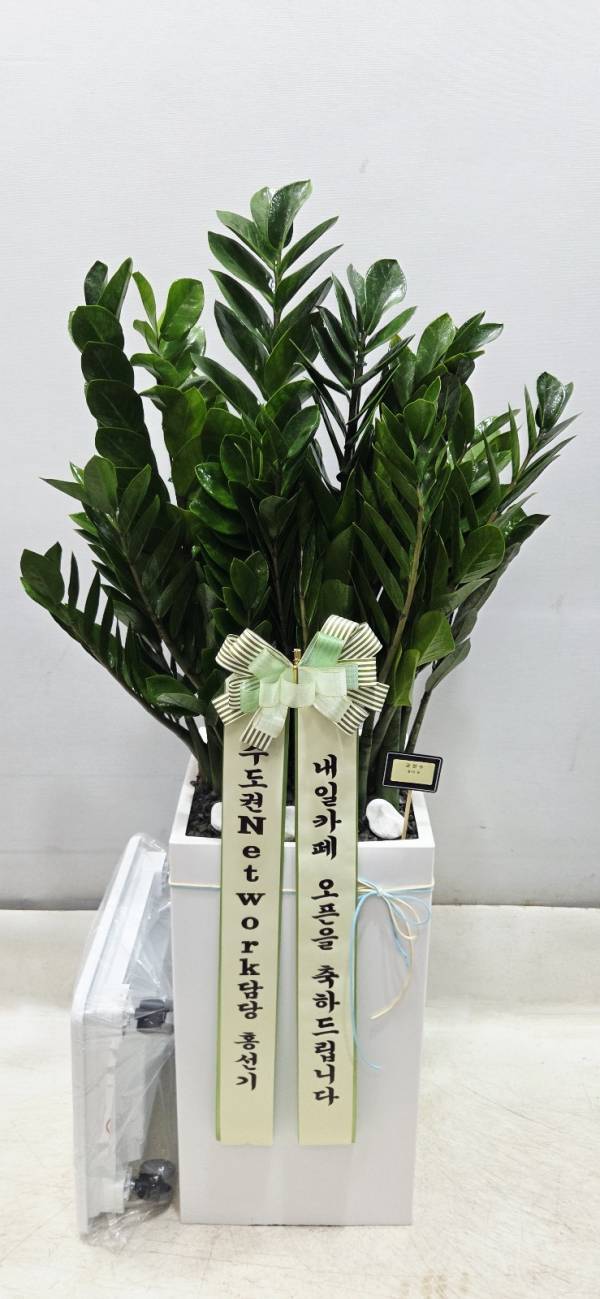 배송사진