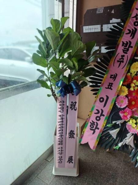 배송사진