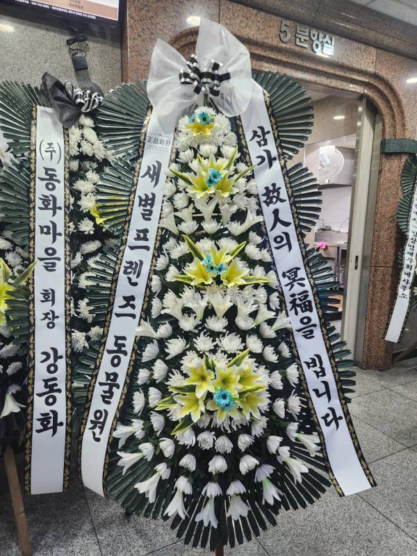배송사진