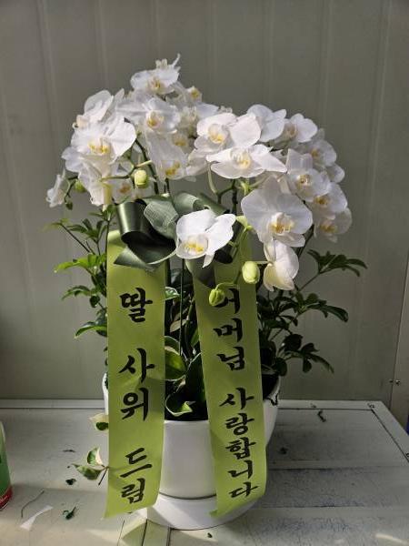 배송사진