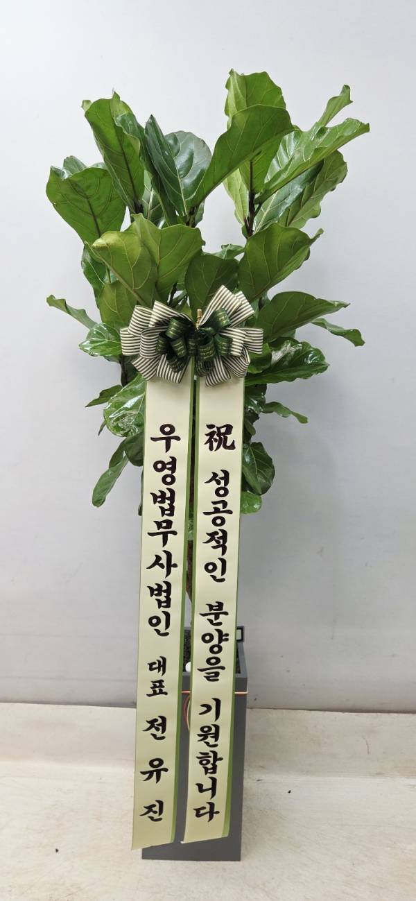 배송사진