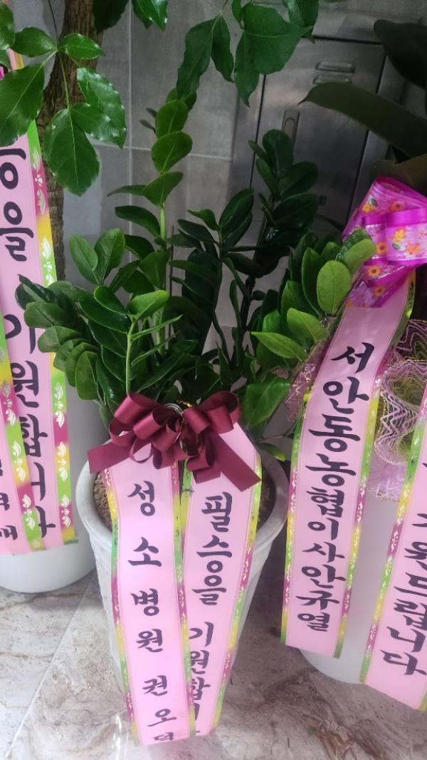 배송사진