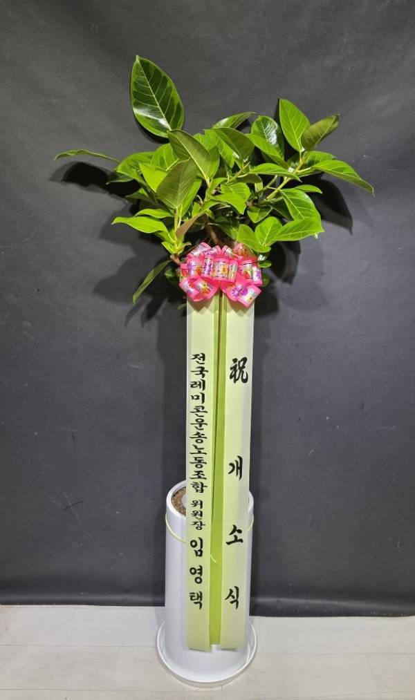 배송사진