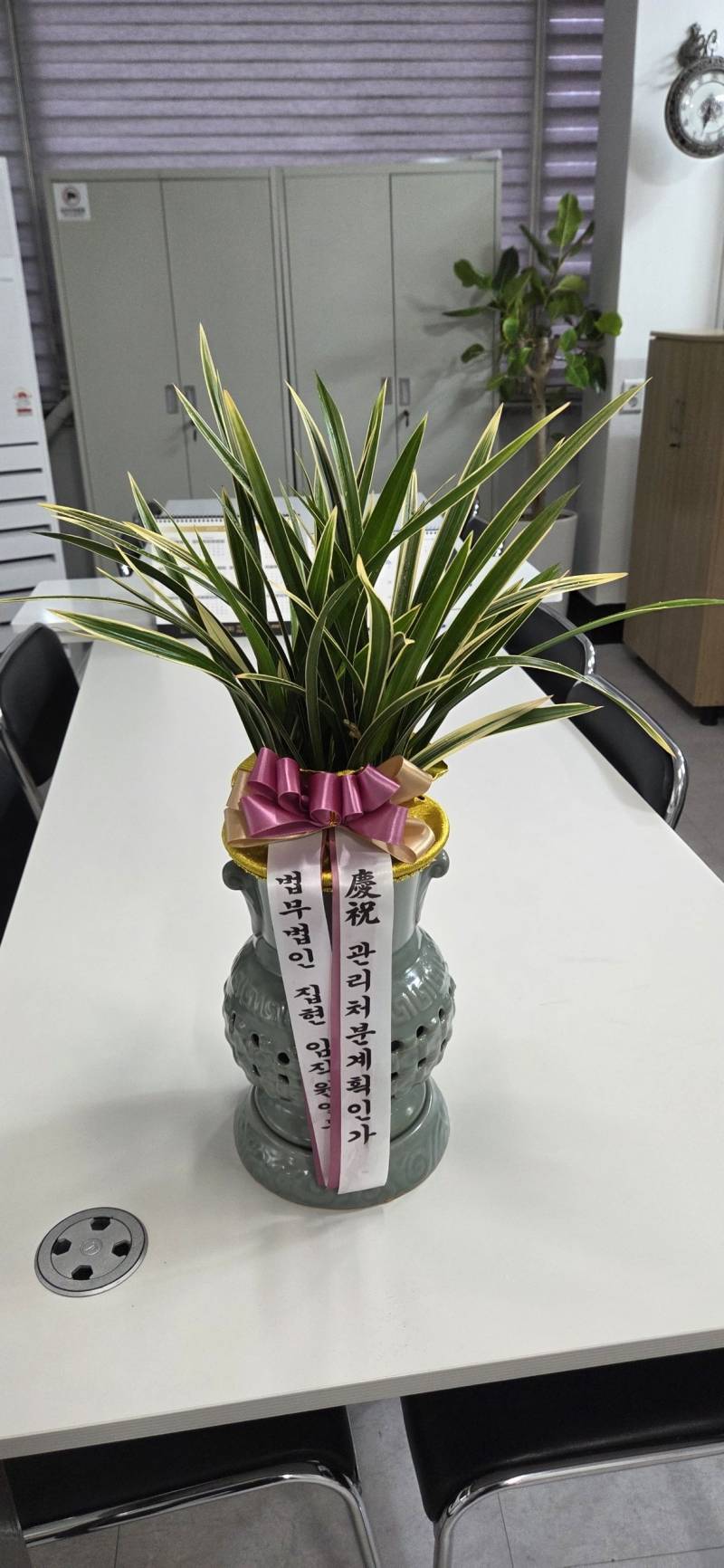 업로드 이미지