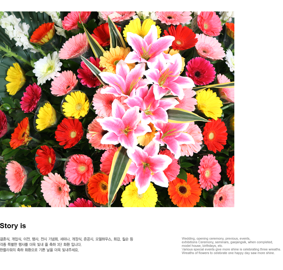 설명이미지