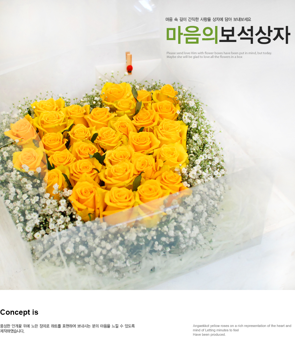 설명이미지