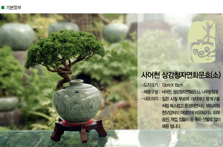 설명이미지
