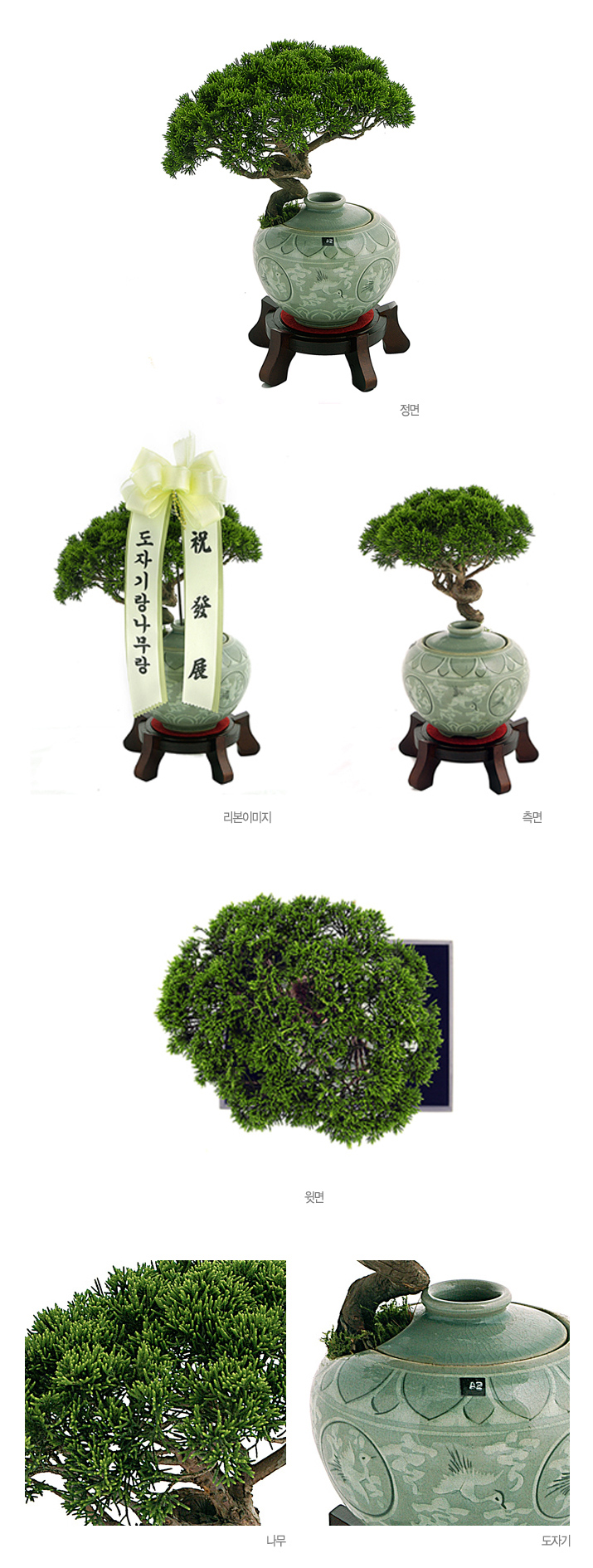 설명이미지