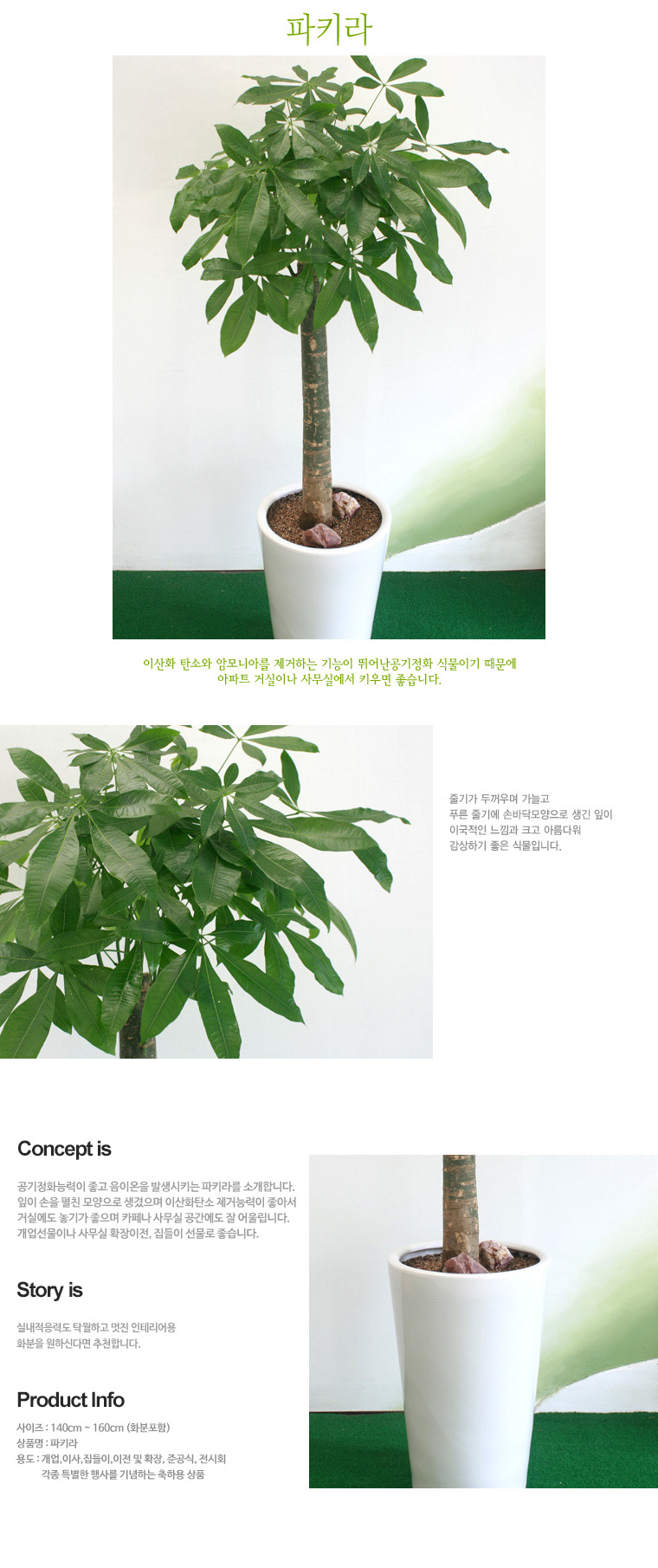 설명이미지