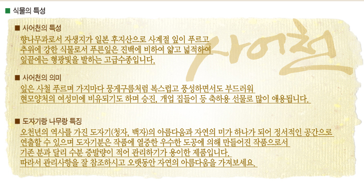 설명이미지