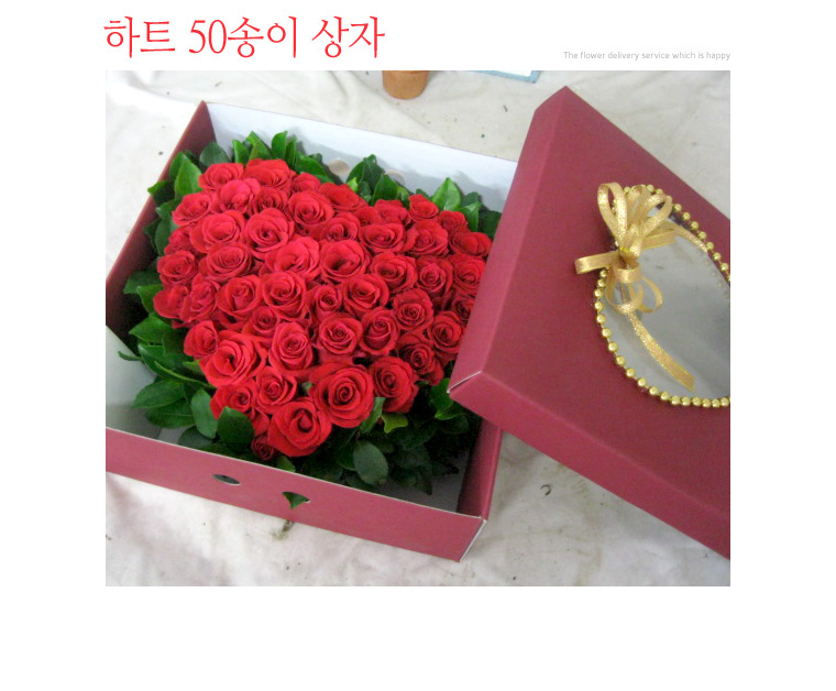 설명이미지