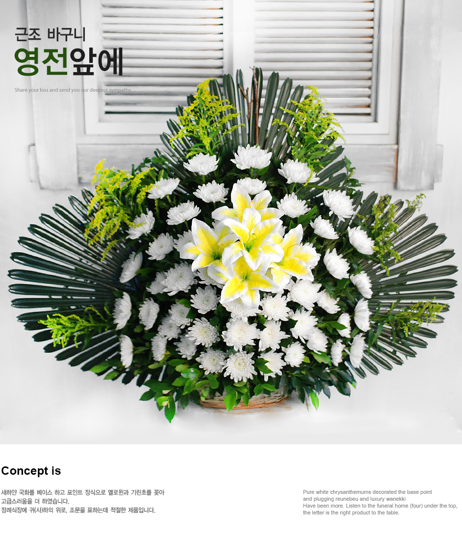 설명이미지