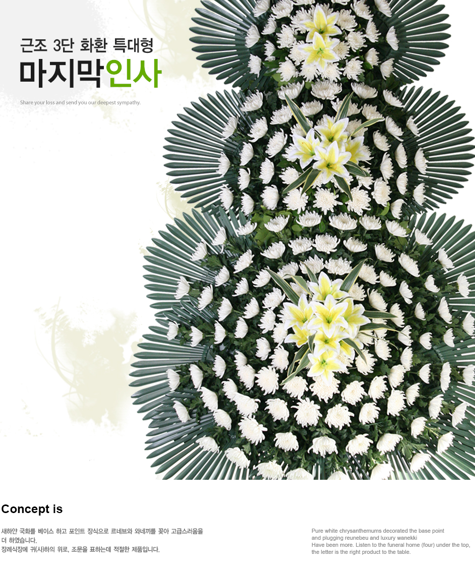설명이미지