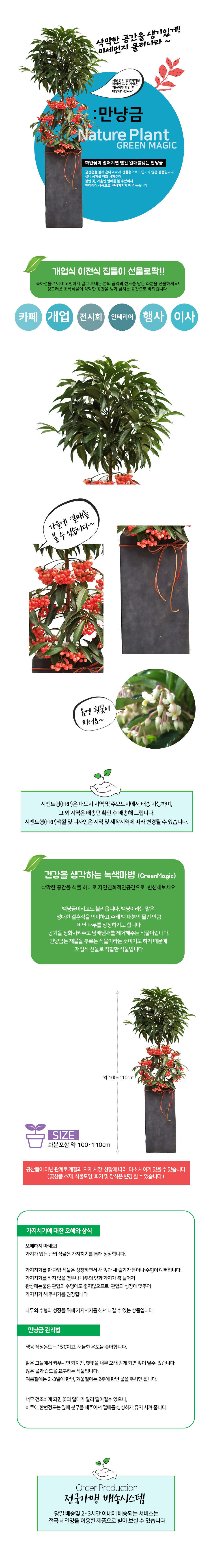 설명이미지