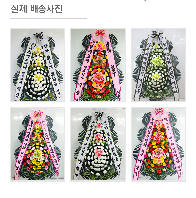 설명이미지