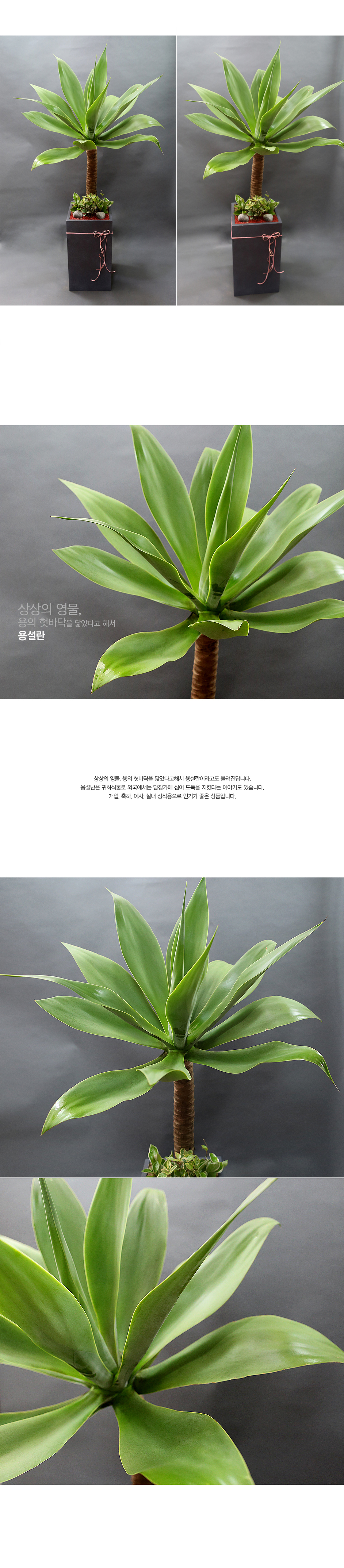 설명이미지