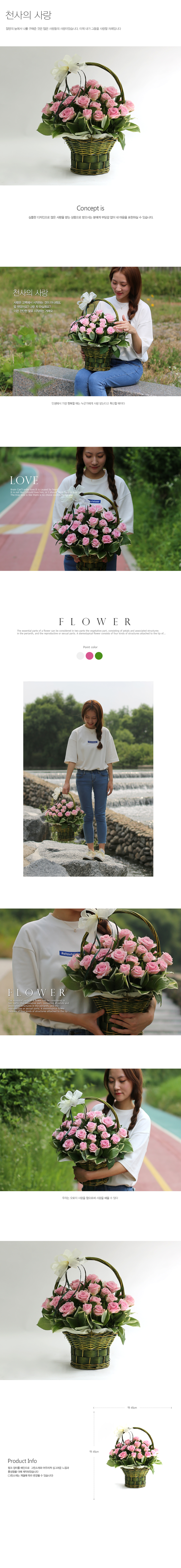 설명이미지