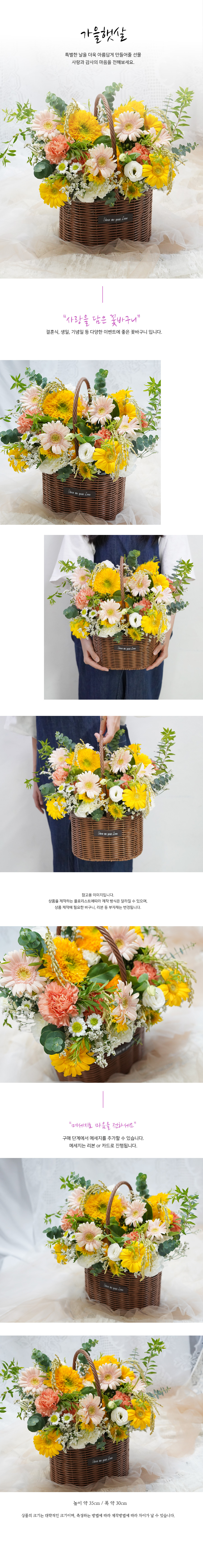 설명이미지
