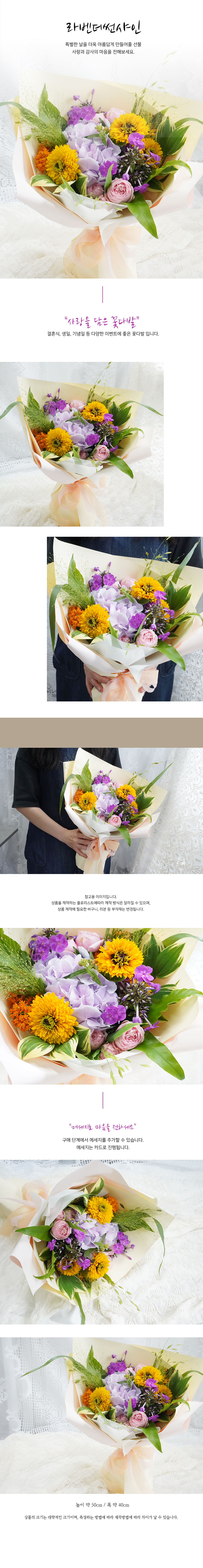 설명이미지