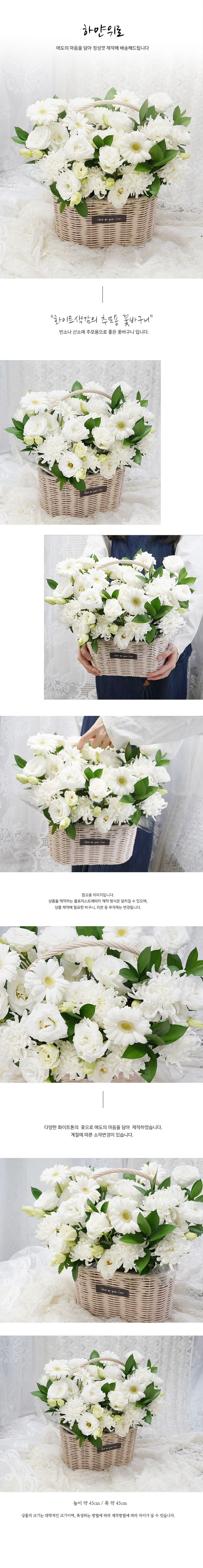설명이미지