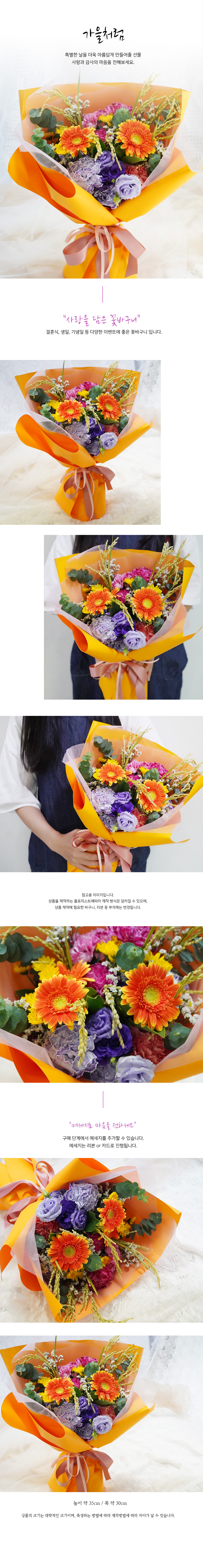 설명이미지
