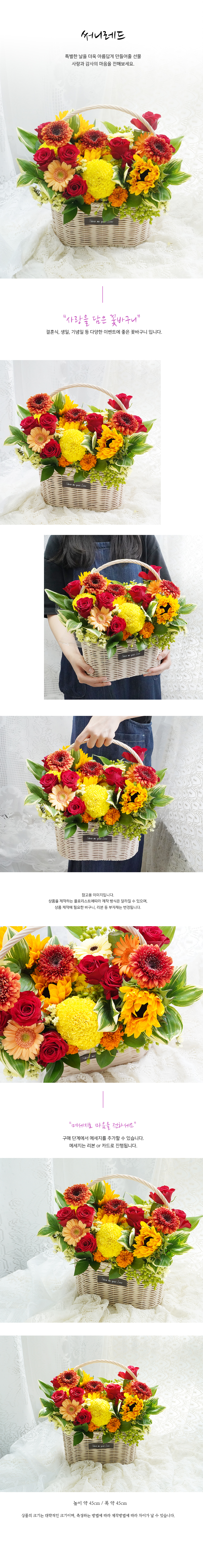 설명이미지