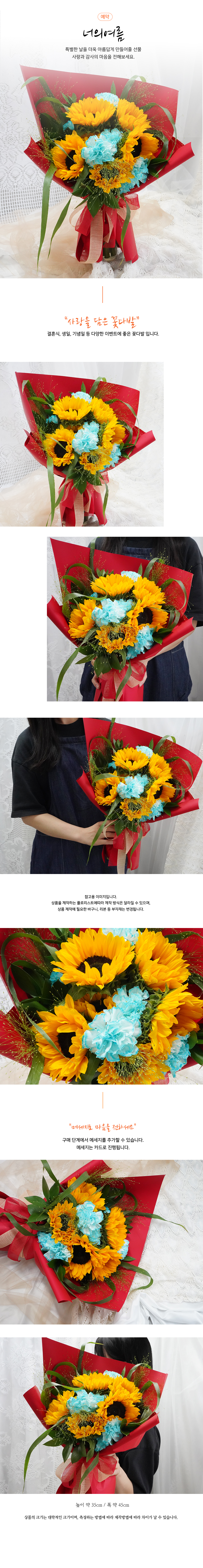 설명이미지