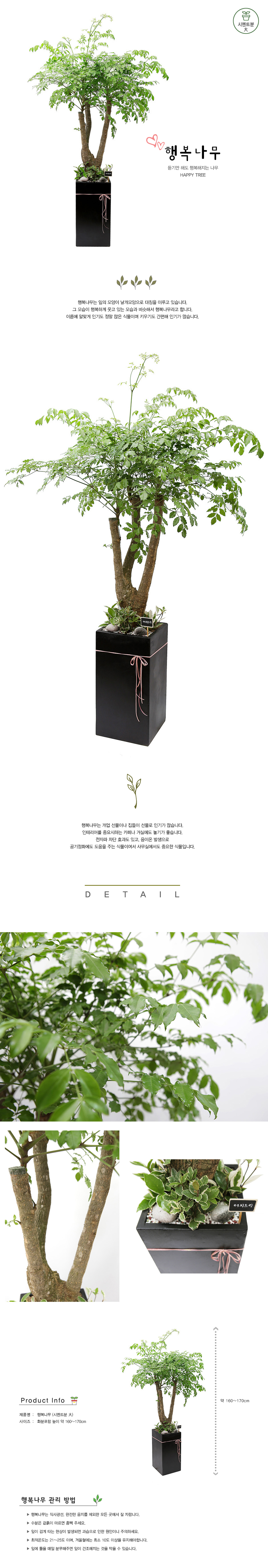 설명이미지