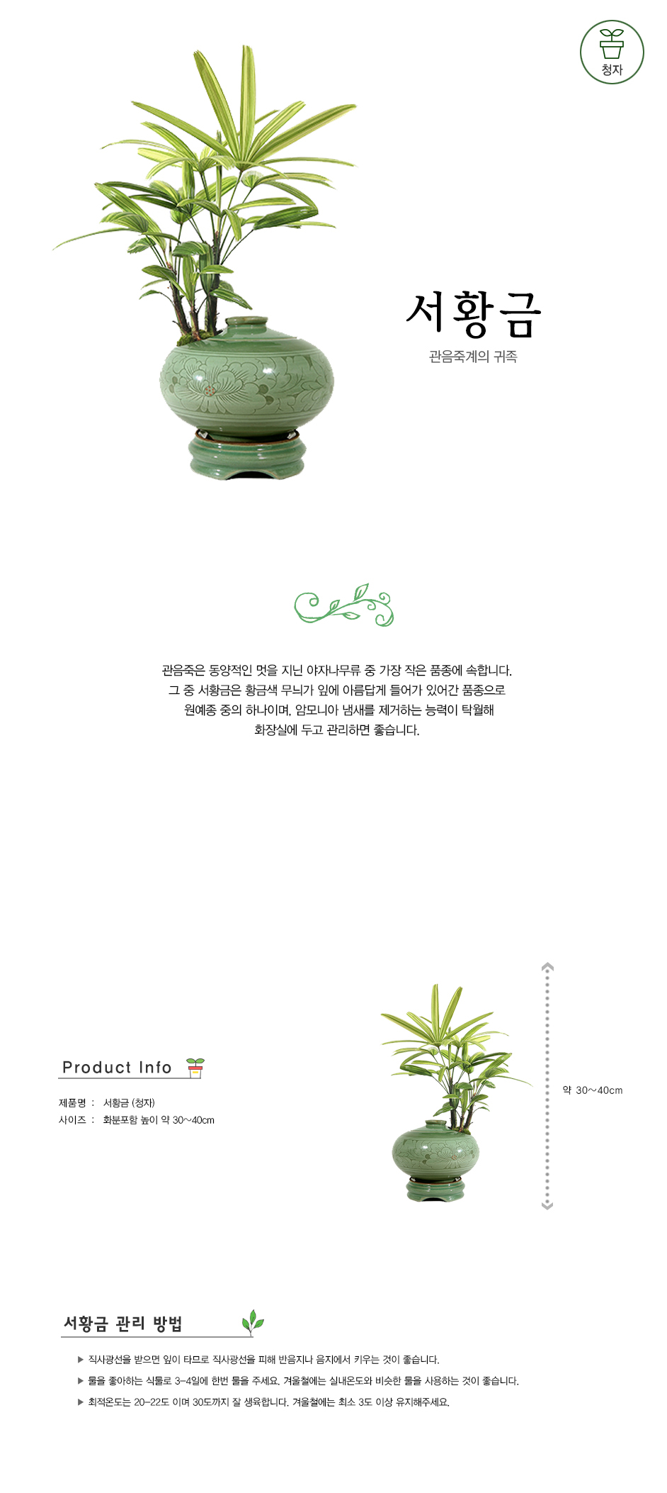 설명이미지