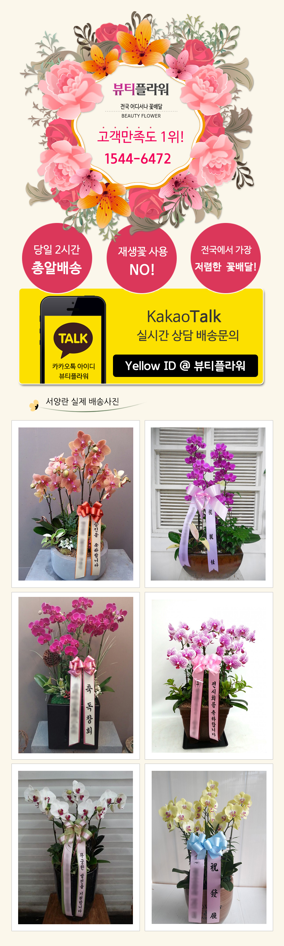 설명이미지