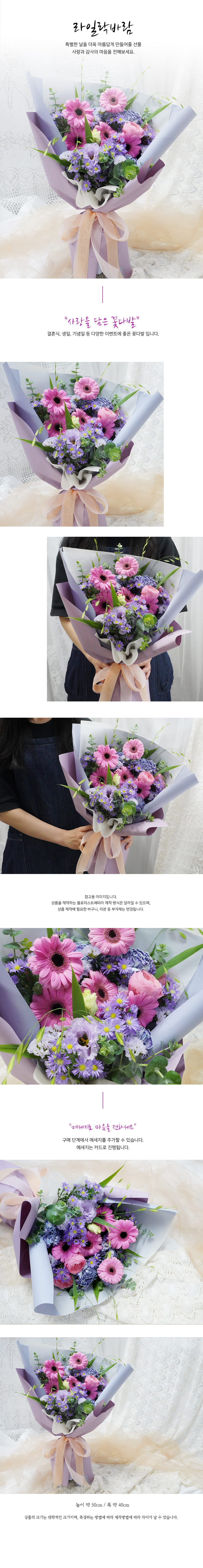 설명이미지